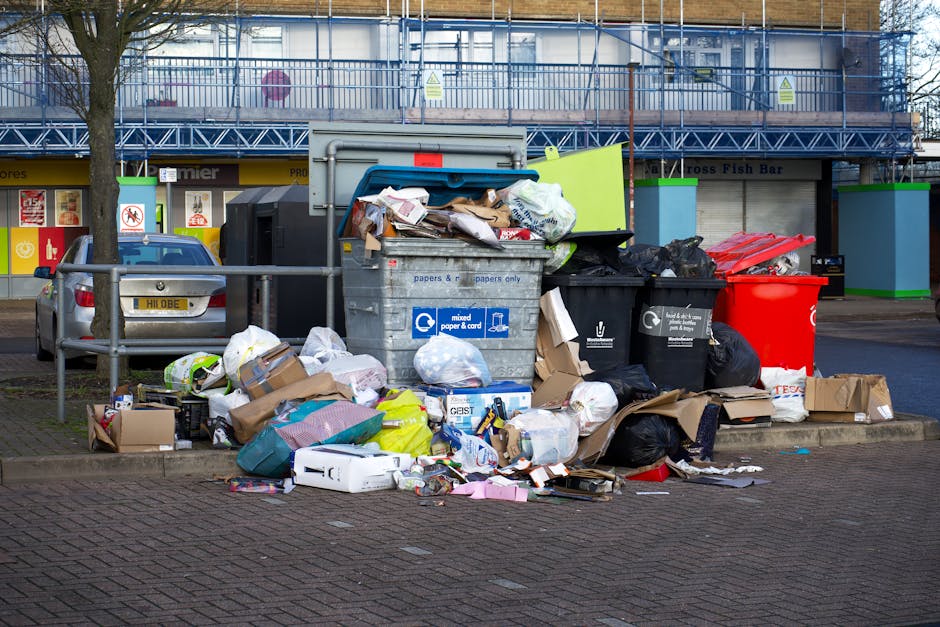 Emergency bulky rubbish pickup near Alexandra Palace