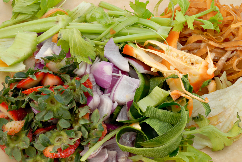 Exploring the Need for Efficient Waste Clearance